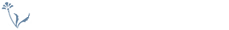 2020年